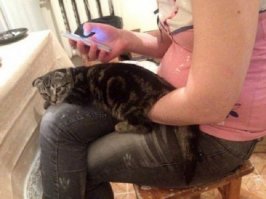 Судя по глазам кота - не показалось