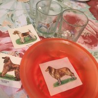 А у меня остались вот такие переводилки из 80х.. Решили с ребёнком 30 лет спустя их наконец использовать ))