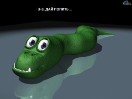 Умирающую от жажды змею напоили водой из шприца