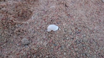 Санаторий "Голубой Иссык Куль"