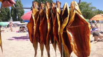 Санаторий "Голубой Иссык Куль"