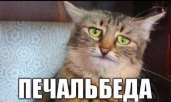 Дуракам закон не писан