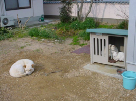 Тебе жалко что ли? Или наглость - второе счастье!