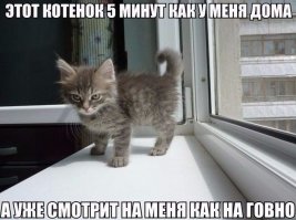 Тебе жалко что ли? Или наглость - второе счастье!