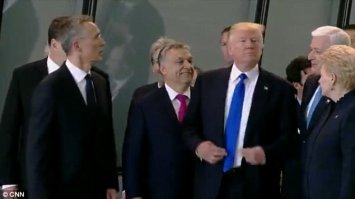 Петушок среди клушек