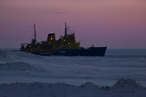в заполярье в равноденствие лень равен ночи.
а потом каждые сутки день увеличивается на 7 минут. реально в апреле черных ночей уже нет, а в мае уже белые ночи
16 апреля 2015г солнце вышло в 4:07