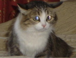 Они уже ушли?