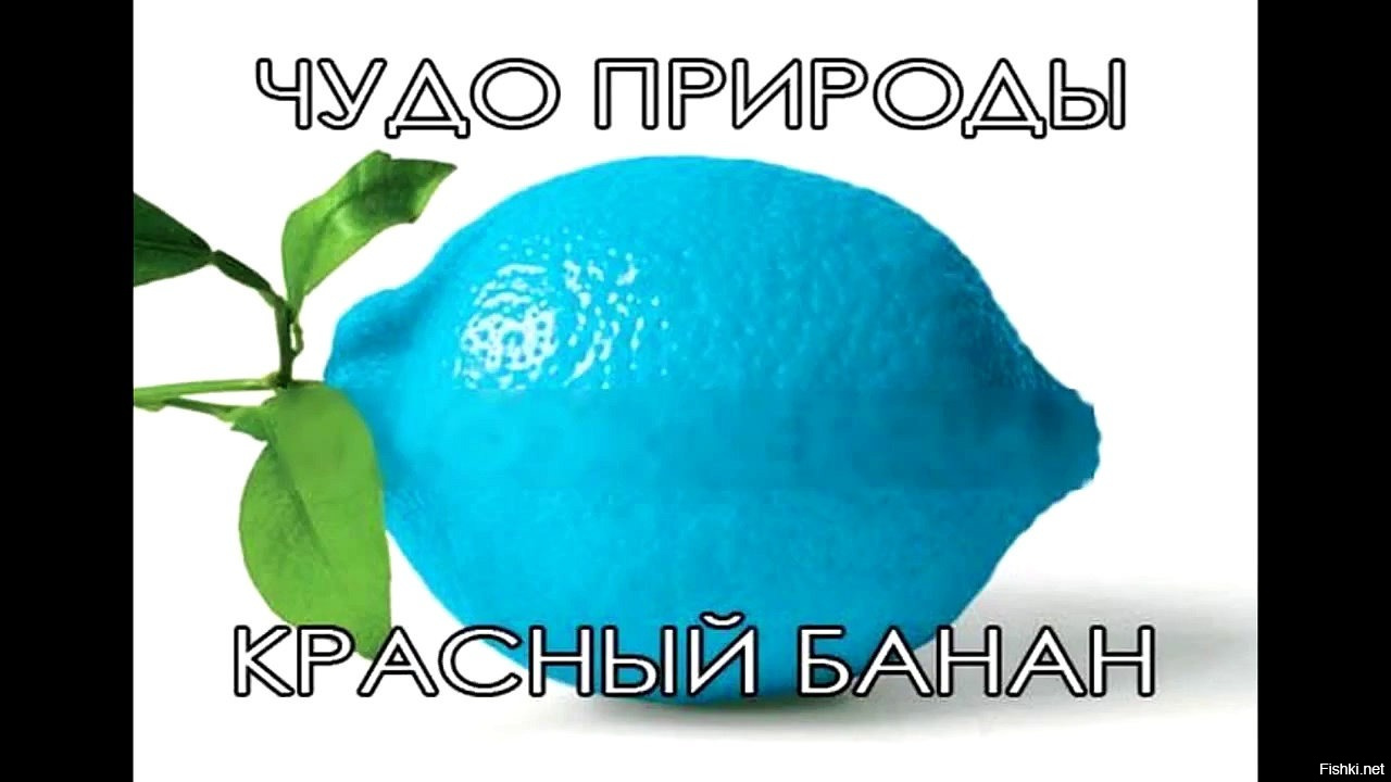 Вижу в голубом. Голубой лимон. Синие цитрусовые. Теперь ты видел все мемы. Голубенький лимон.