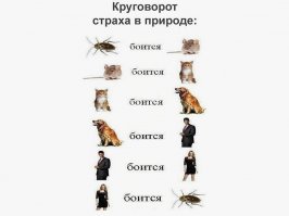 Таракан, Таракан, Тараканище! Он рычит, и кричит, и усами шевелит