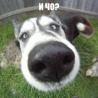 Трехлетняя девочка примерила образы сильных женщин