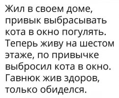 Причем возвращался домой кот тоже по привычке - через окно.
Оттого и немного обиделся.