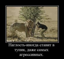 Есть ли границы у НАГЛОСТИ?