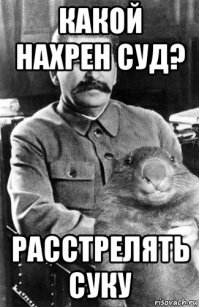 В канаве нашли живого пса со связанными лапами и скотчем вокруг морды