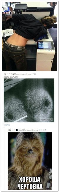 Смешные комментарии и высказывания из социальных сетей