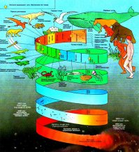 самое интересное, что в дискуссиях о религии почему-то никогда не поднимается вопрос динозавров... если представить циферблат и предположить что динозавры существовали 12 часов, то люди существуют только 5 секунд!