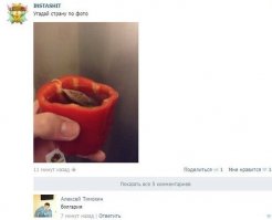 Согласен - Болгария, наши бы никогда чай туда не налили! :)