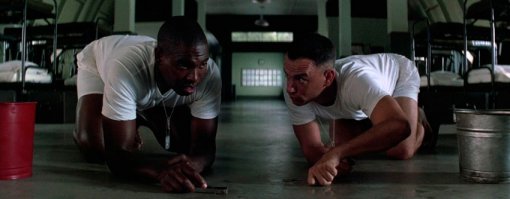 Вот и все, что я знаю о скворцах.