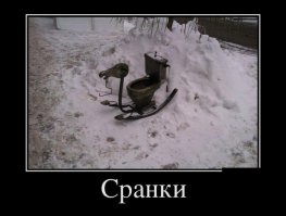 Подборка демотиваторов, которые поднимут вам настроение