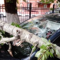 А мне вспомнились три ТОПОЛЯ на Плющихе (уже два и опять облом у таксиста)))