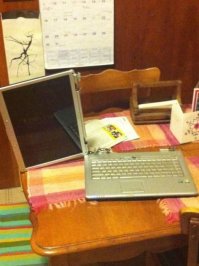 Видно в понедельник их мама родила! 20 фотографий от настоящих неудачников