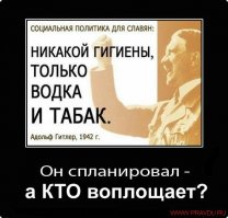 Оказывается не такие уж и пьющие