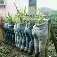 Интересно, когда поливаешь цветы - штаны так же эффектно выглядят?