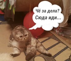 "Отскочем побормочем"! Чем сегодня живут чёткие пацаны с районов