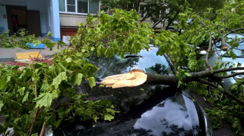 вот щас в Чертаново)