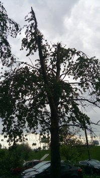 Каширское шоссе 55-1