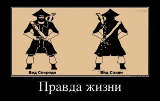 Попугай приходит в восторг, когда его хозяин возвращается домой