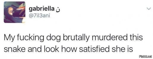 Габриэлла, это ты? 

PS оригинал на чирикалке выложен 1 апреля...