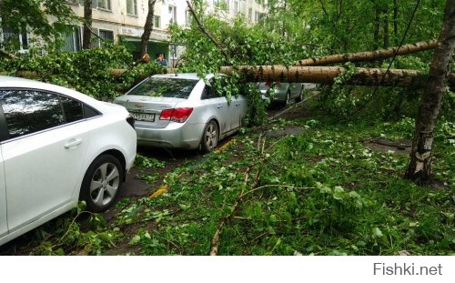 Ураган в Москве уносит жизни людей. Хроника