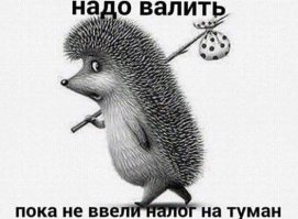 Чем платить будете? ТОП-10 самых невероятных налогов в истории