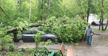 А тут кто виноват. Тихий Московский бриз, который у Вас не боятся?