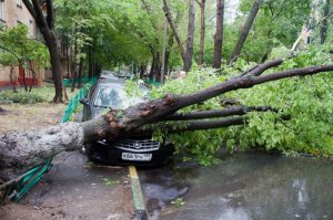А тут кто виноват. Тихий Московский бриз, который у Вас не боятся?