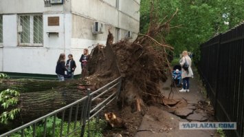 А тут кто виноват. Тихий Московский бриз, который у Вас не боятся?