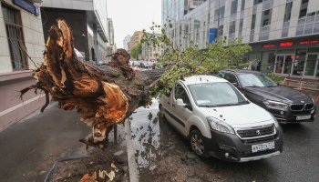 А тут кто виноват. Тихий Московский бриз, который у Вас не боятся?