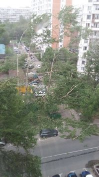 А тут кто виноват. Тихий Московский бриз, который у Вас не боятся?