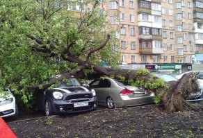 А тут кто виноват. Тихий Московский бриз, который у Вас не боятся?