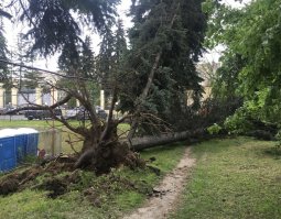 А тут кто виноват. Тихий Московский бриз, который у Вас не боятся?