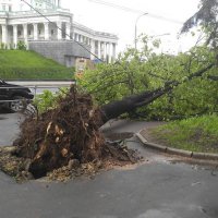 А тут кто виноват. Тихий Московский бриз, который у Вас не боятся?