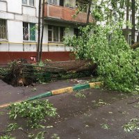 А тут кто виноват. Тихий Московский бриз, который у Вас не боятся?