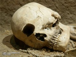 Подборка бессмысленных фотографий