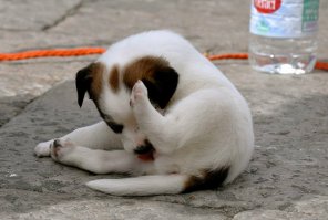 Верно, когда сказать не чего обычно что-то подобное и мямлят. 

И не забудь перелогиниться и полайкать себя