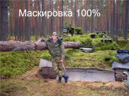 25 невероятных примеров защитной маскировки в мире животных