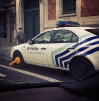 В России такое не увидишь.