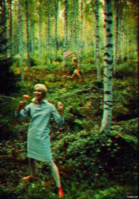 Подборка бессмысленных фотографий