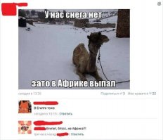 Смешные комментарии и высказывания из социальных сетей
