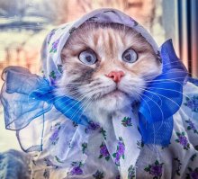 обновила гардероб к лету ))))