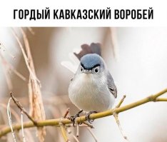 эээ бэрат, куртка, обуф, красовка, дщинцы.. нэдорага атдам...

=D